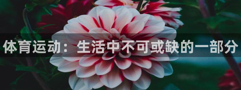 91体育在线登陆：体育运动：生活中不可或缺的一部分