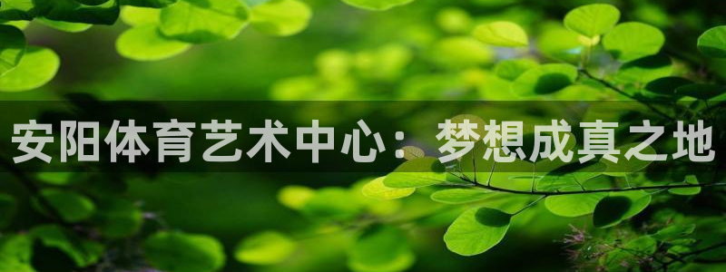 191体育馆：安阳体育艺术中心：梦想成真之地