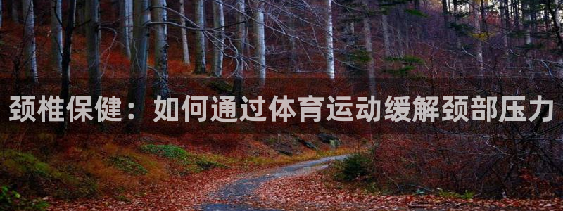 91体育网页版：颈椎保健：如何通过体育运动缓解颈部压力