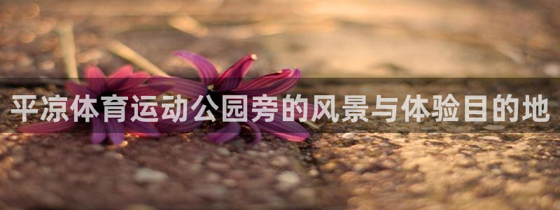 91体育网页版：平凉体育运动公园旁的风景与体验目的地