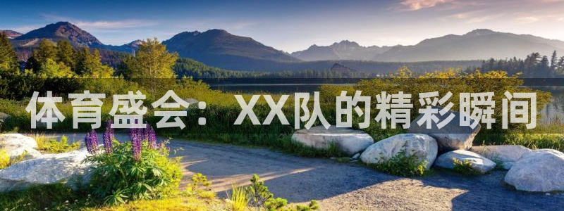 191体育馆：体育盛会：XX队的精彩瞬间